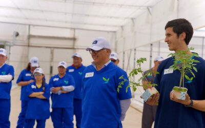 Plantanova “eleva la barra de horticultura” con innovadora jornada de puertas abiertas